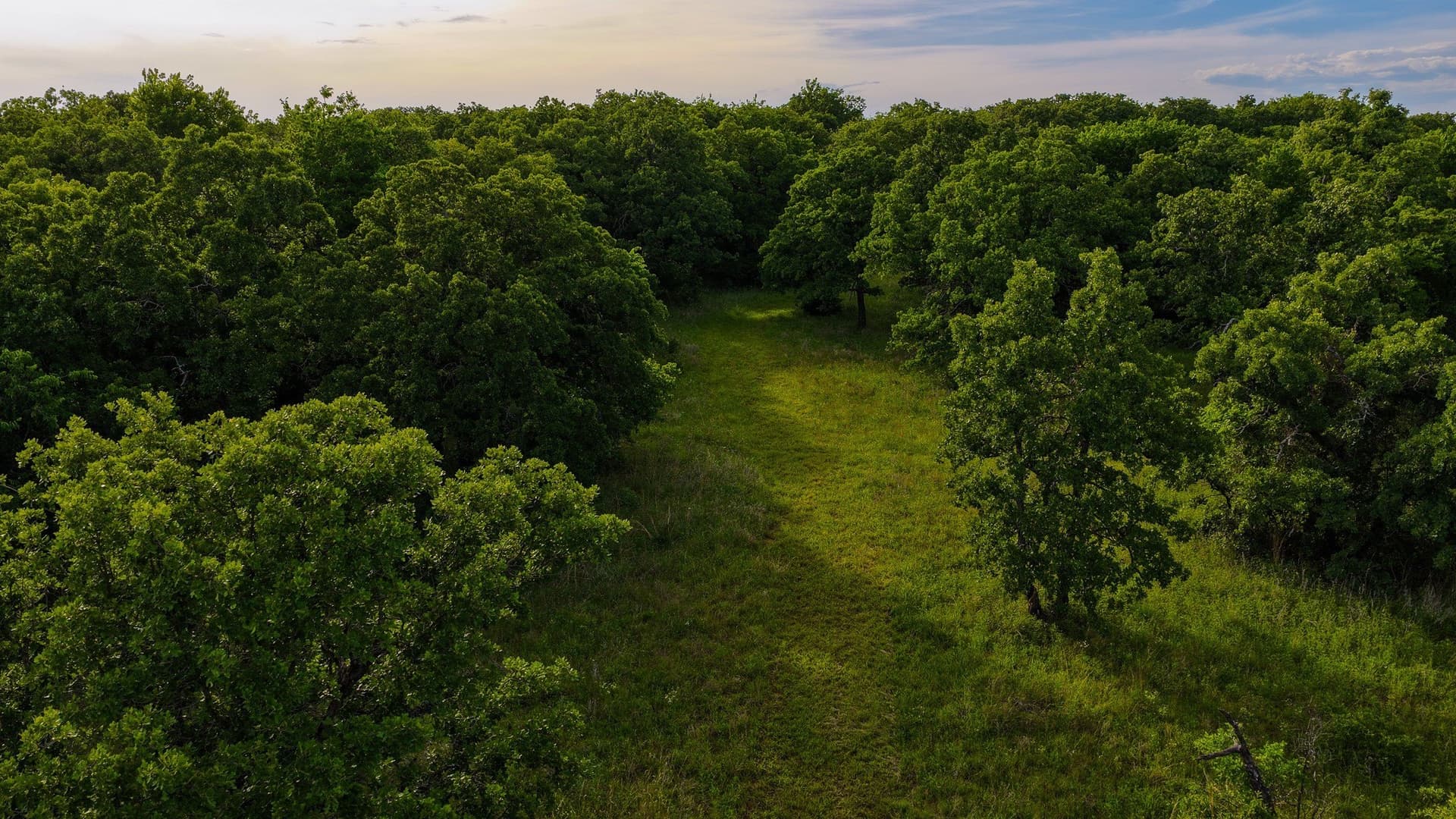 80.3 acres in Montague County - photo 16