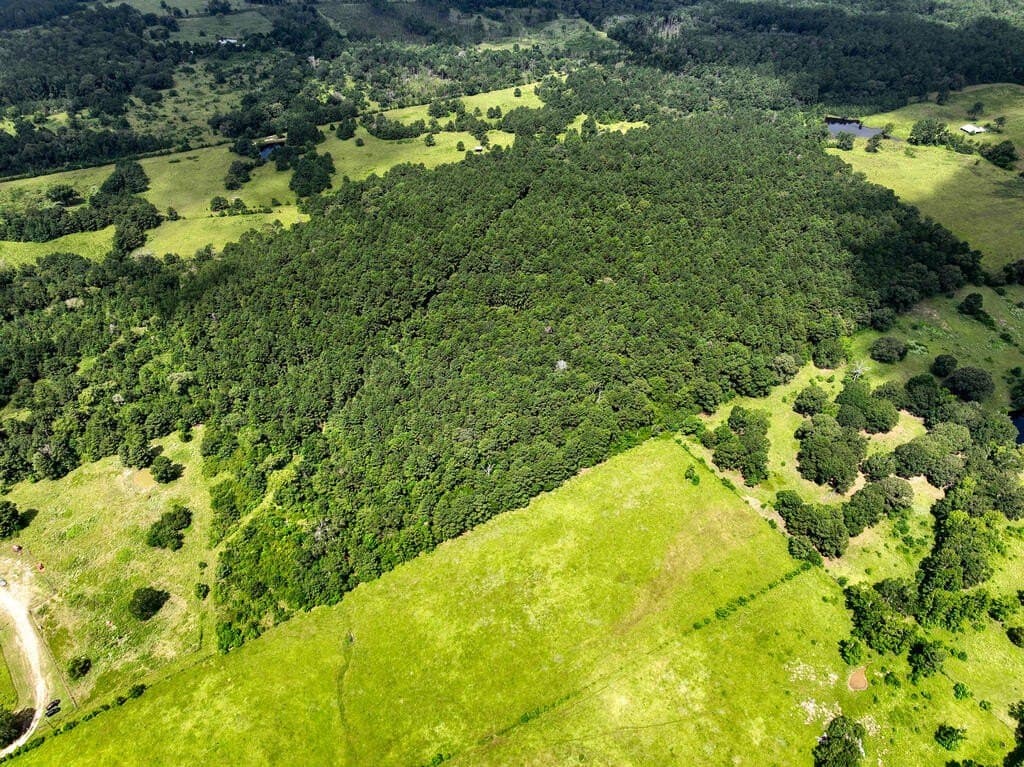 57.52 acres in HOUSTON County - photo 20