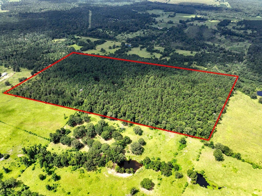 57.52 acres in HOUSTON County - photo 27
