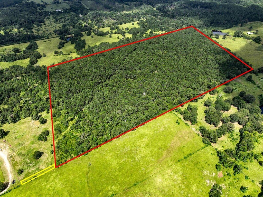 57.52 acres in HOUSTON County - photo 21
