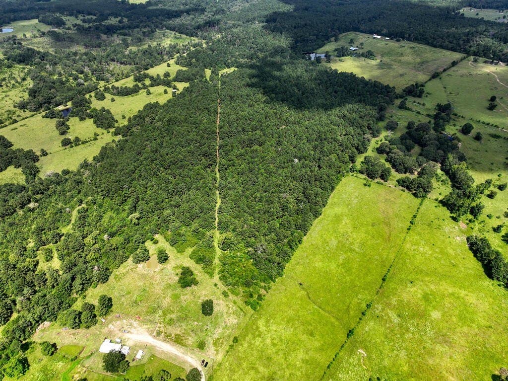 57.52 acres in HOUSTON County - photo 18