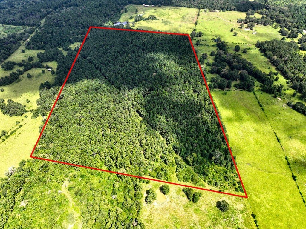 57.52 acres in HOUSTON County - photo 5