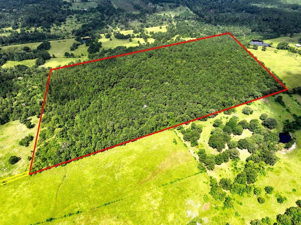 57.52 acres in HOUSTON County - photo 23