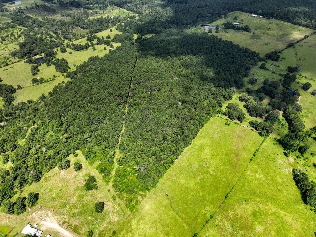 57.52 acres in HOUSTON County - photo 16