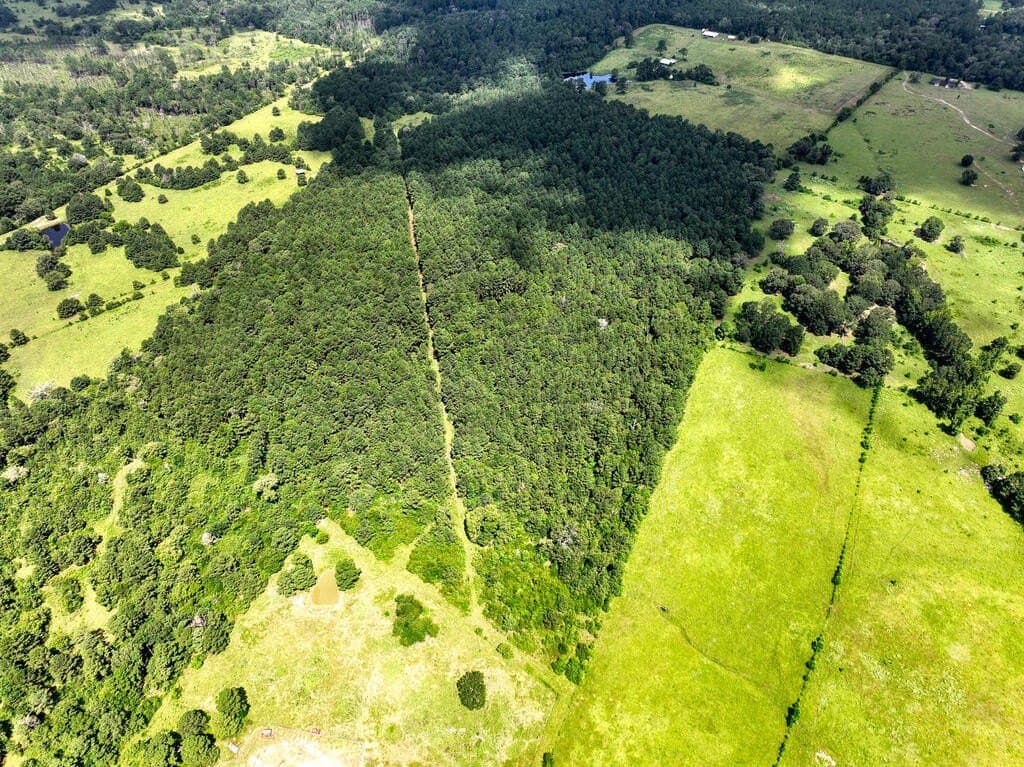 57.52 acres in HOUSTON County - photo 14