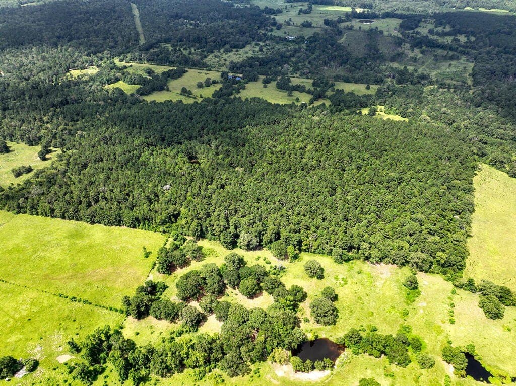 57.52 acres in HOUSTON County - photo 24