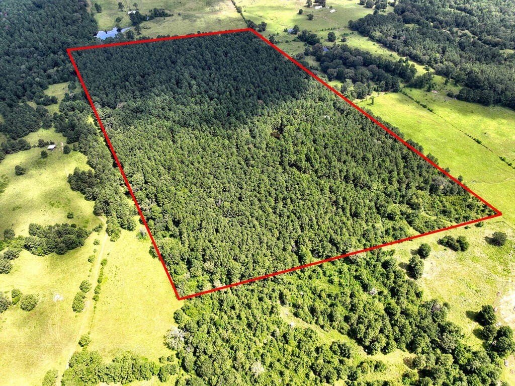 57.52 acres in HOUSTON County - photo 9