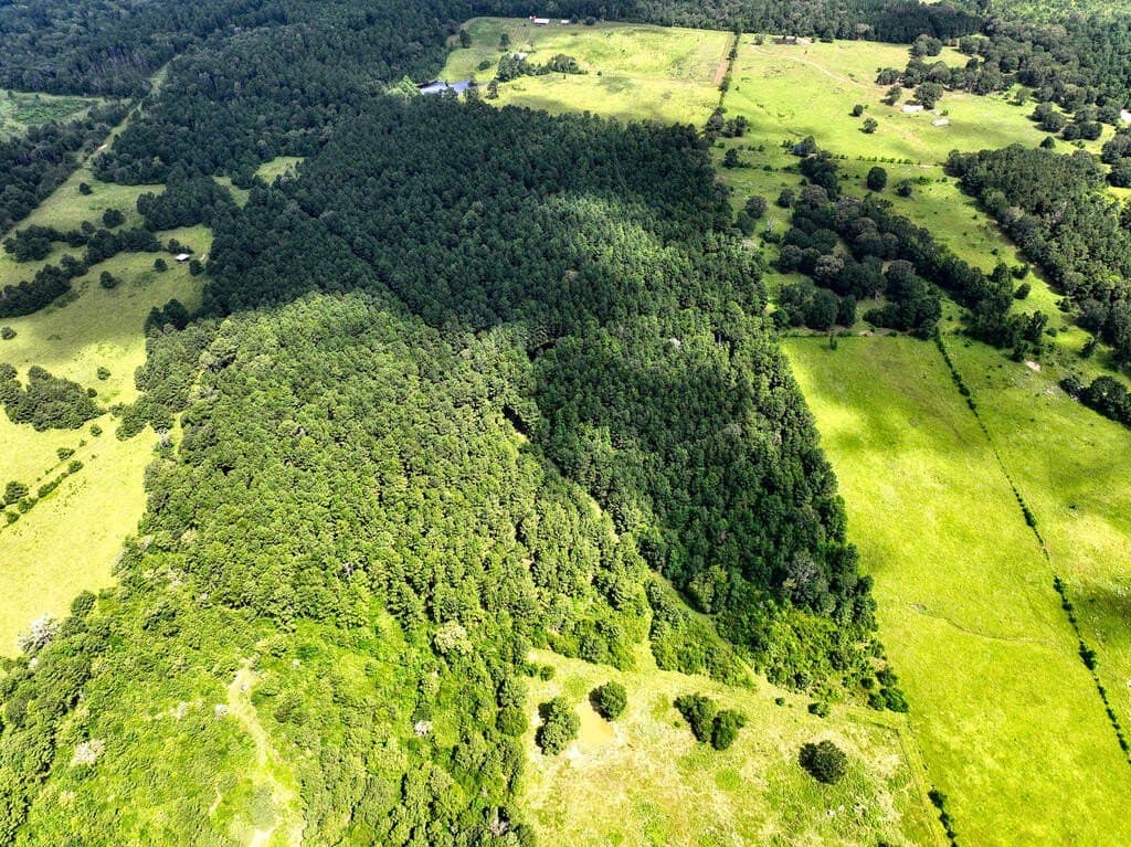 57.52 acres in HOUSTON County - photo 4