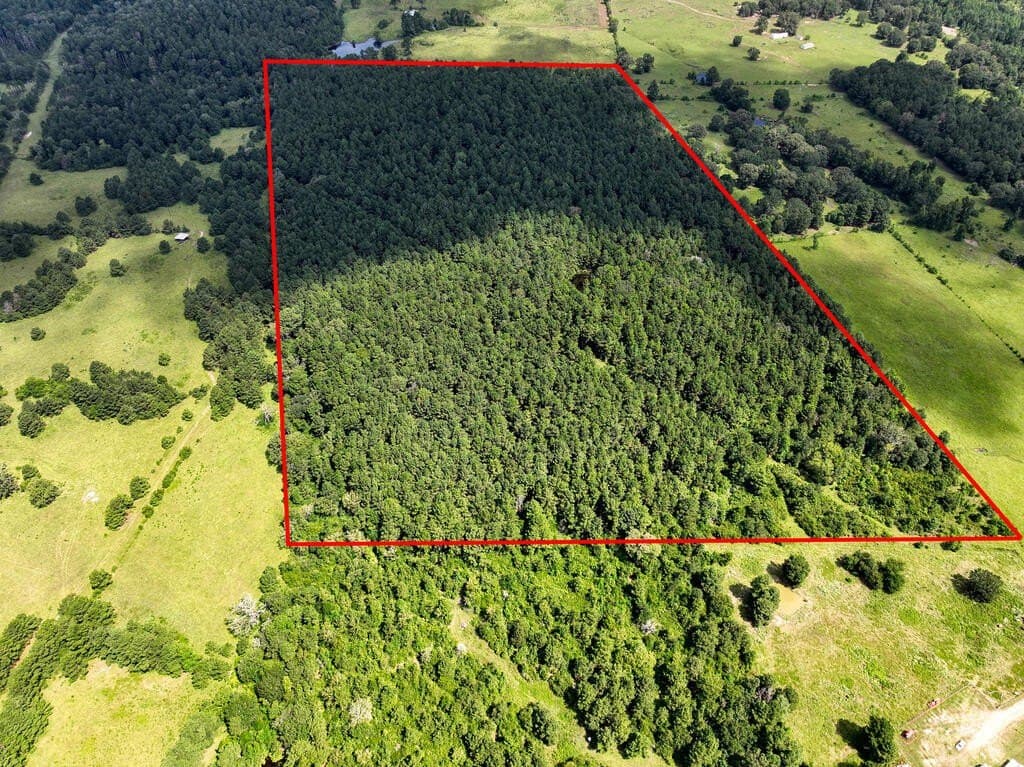 57.52 acres in HOUSTON County - photo 7