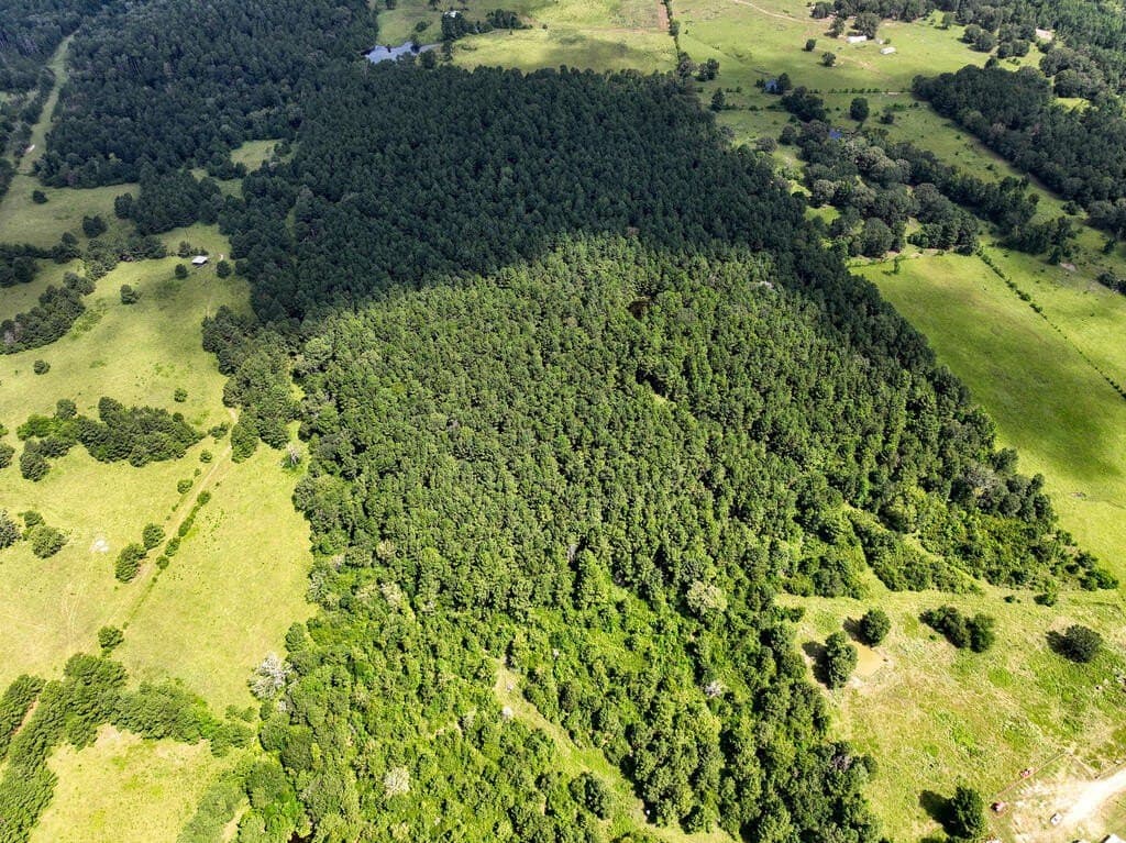 57.52 acres in HOUSTON County - photo 6