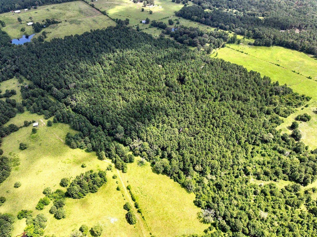 57.52 acres in HOUSTON County - photo 12