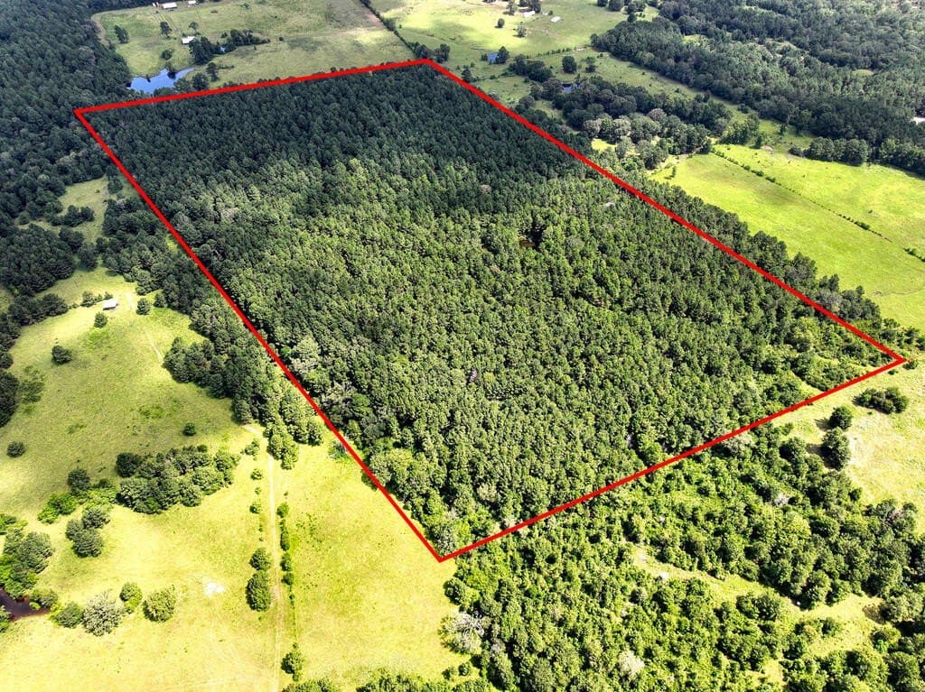 57.52 acres in HOUSTON County - photo 11