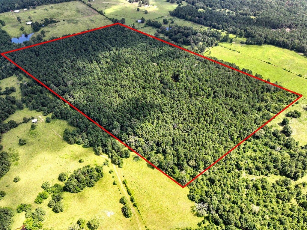 57.52 acres in HOUSTON County - photo 13