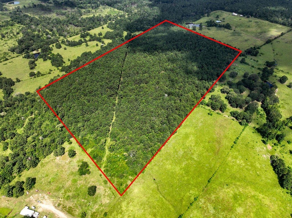 57.52 acres in HOUSTON County - photo 17