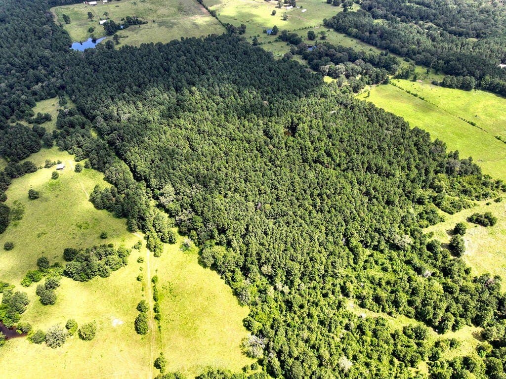 57.52 acres in HOUSTON County - photo 10