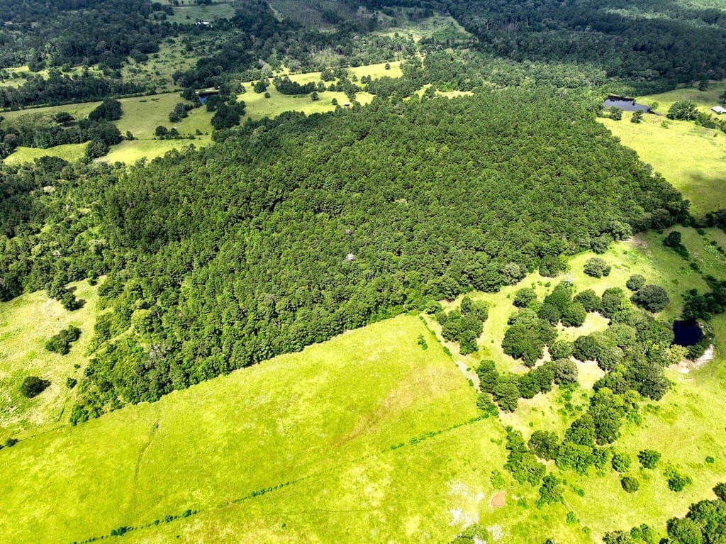 57.52 acres in HOUSTON County - photo 22