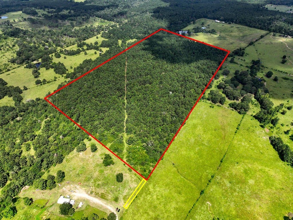 57.52 acres in HOUSTON County - photo 19