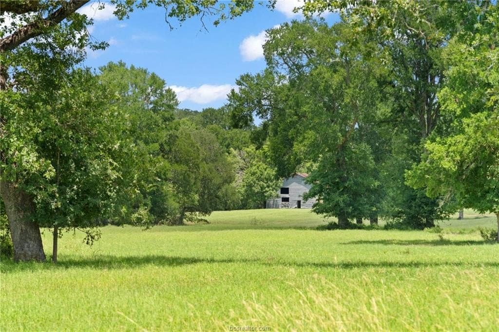 176.29 acres in Bastrop County gallery image 2
