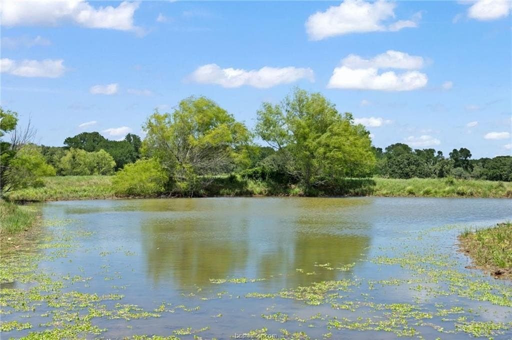 176.29 acres in Bastrop County gallery image 3