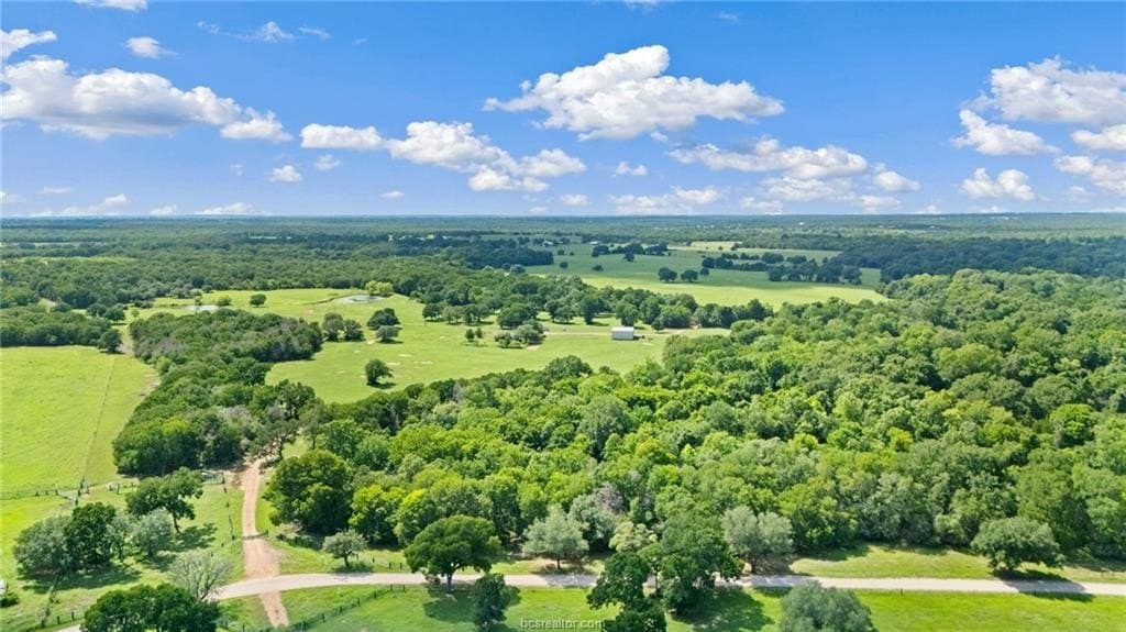 176.29 acres in Bastrop County