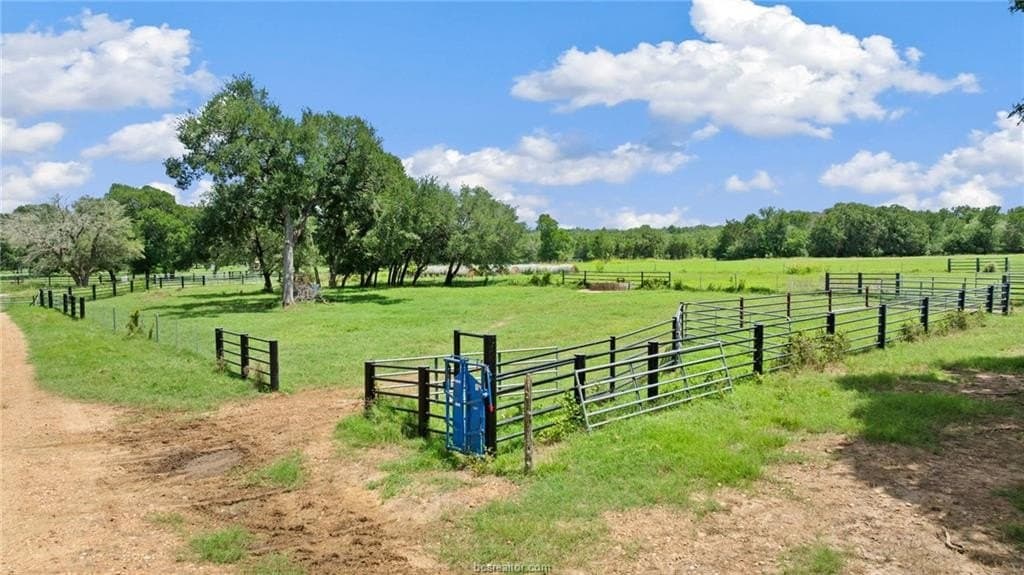 176.29 acres in Bastrop County gallery image 4