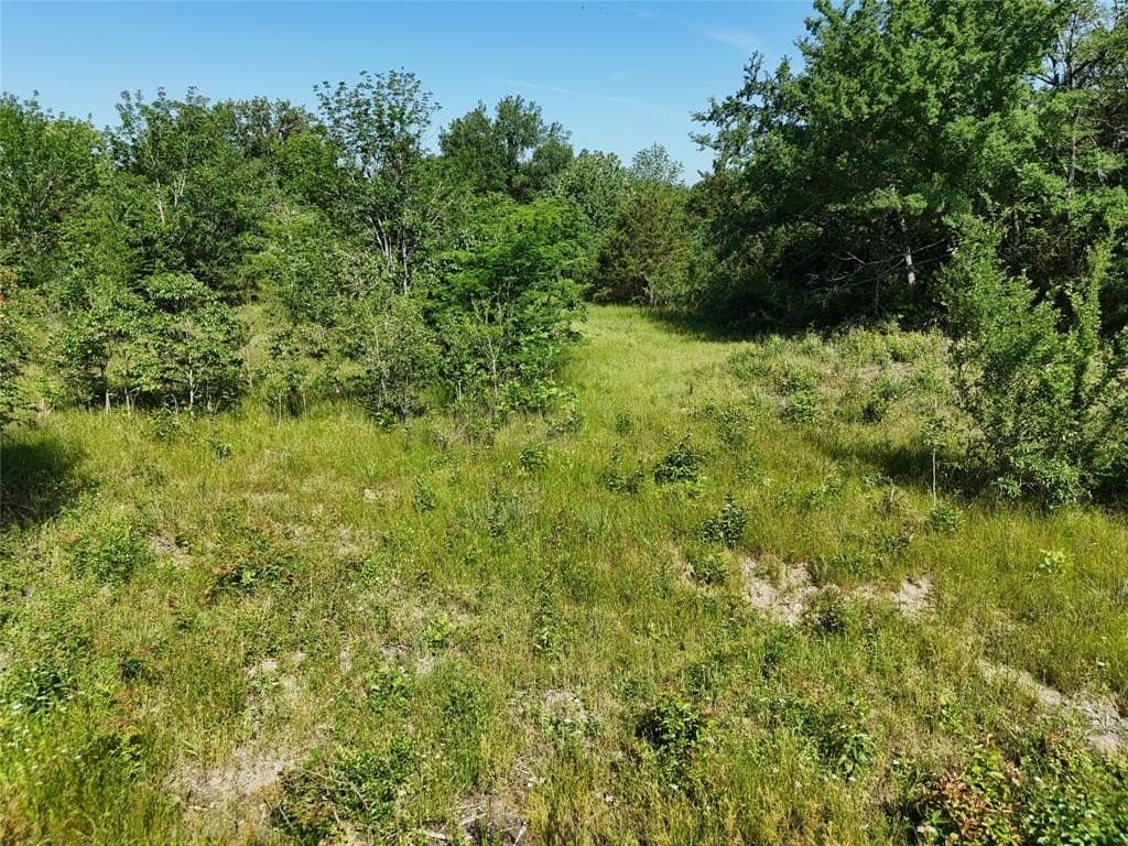 20 acres in Franklin (TX) County featured view