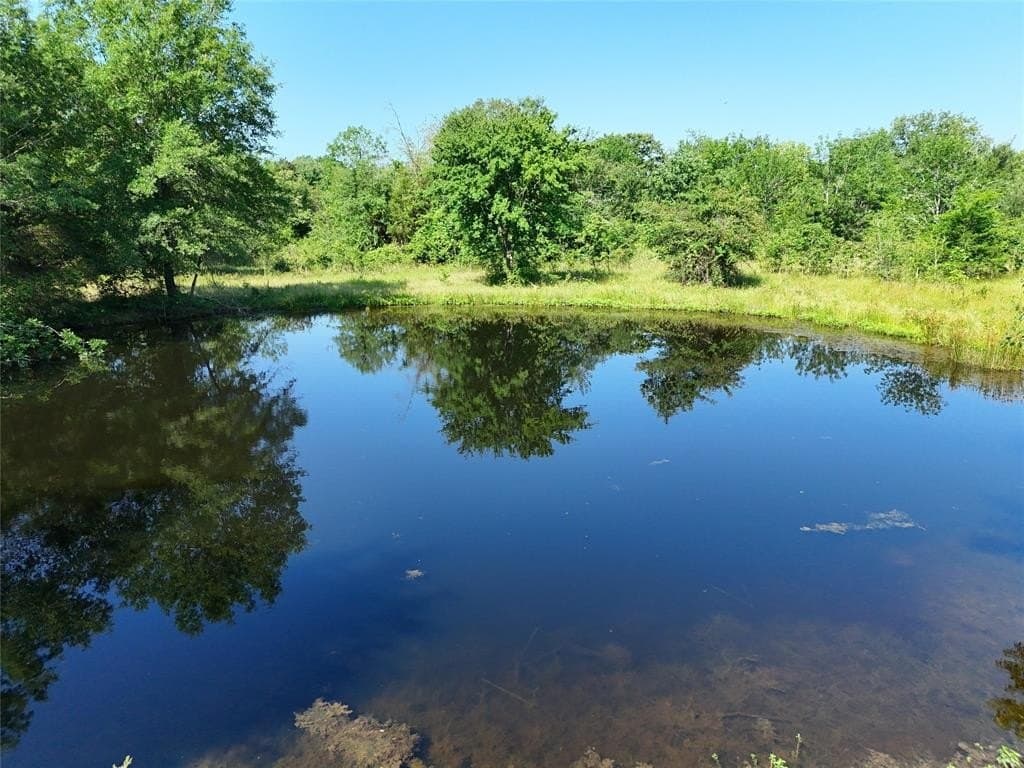 20 acres in Franklin (TX) County gallery image 2