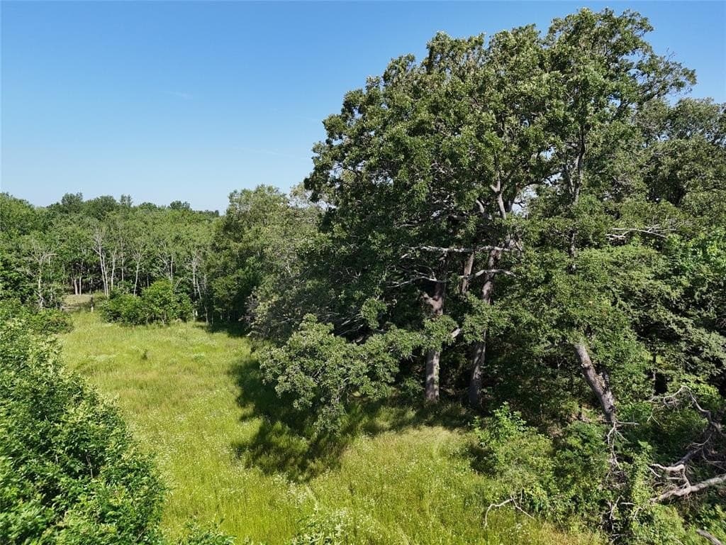 20 acres in Franklin (TX) County gallery image 3