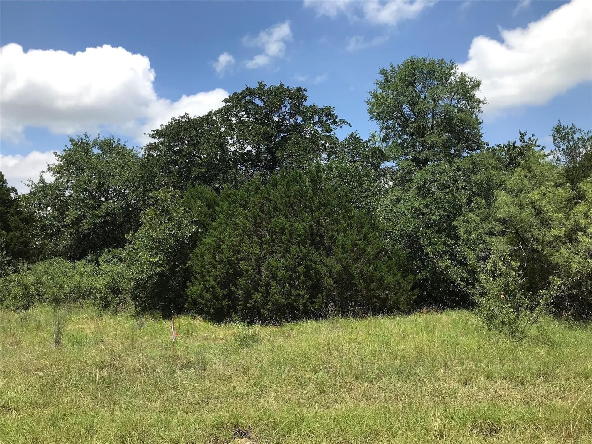 1.51 acres in Palo Pinto County - photo 4