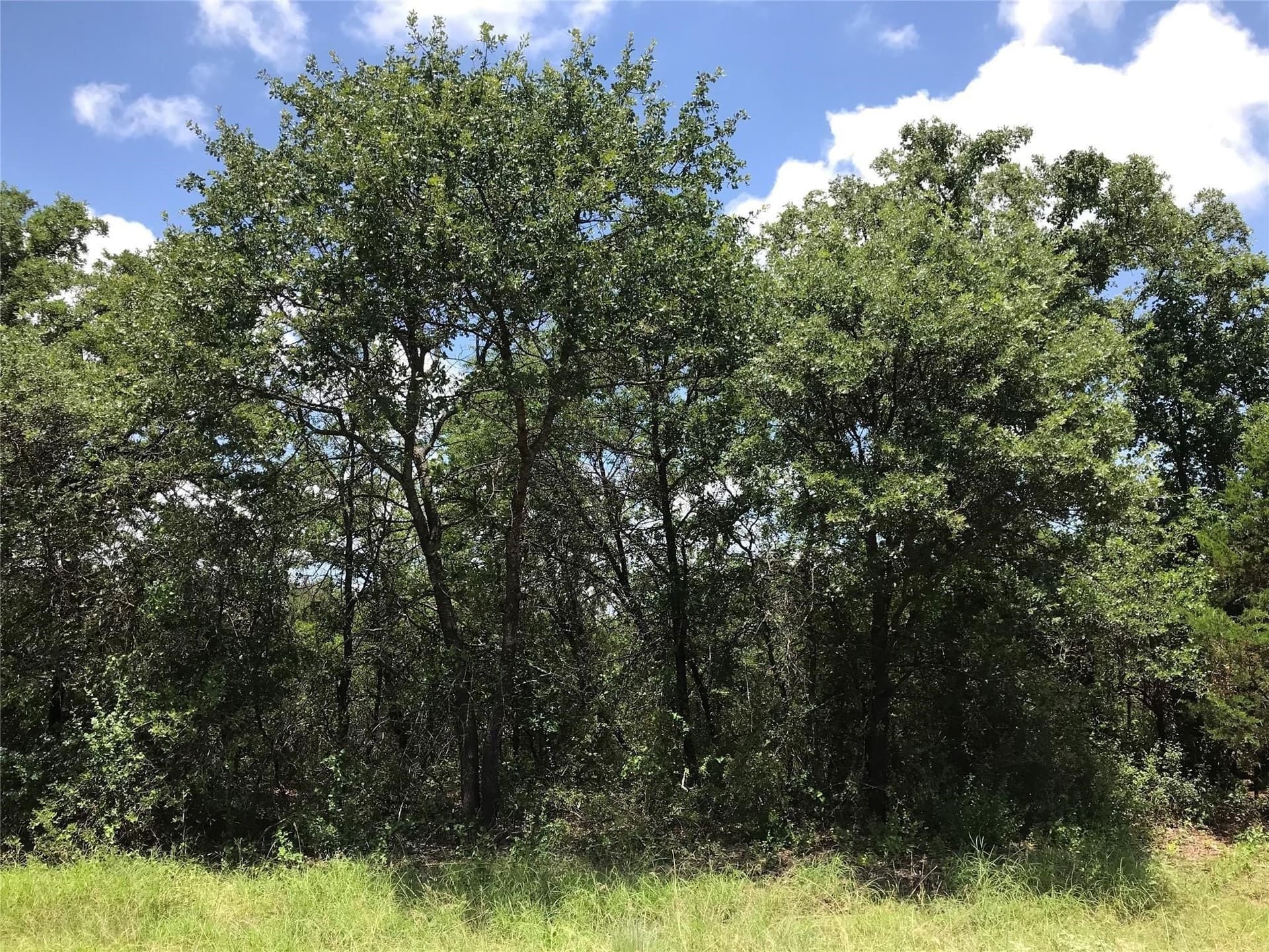 1.51 acres in Palo Pinto County - photo 3