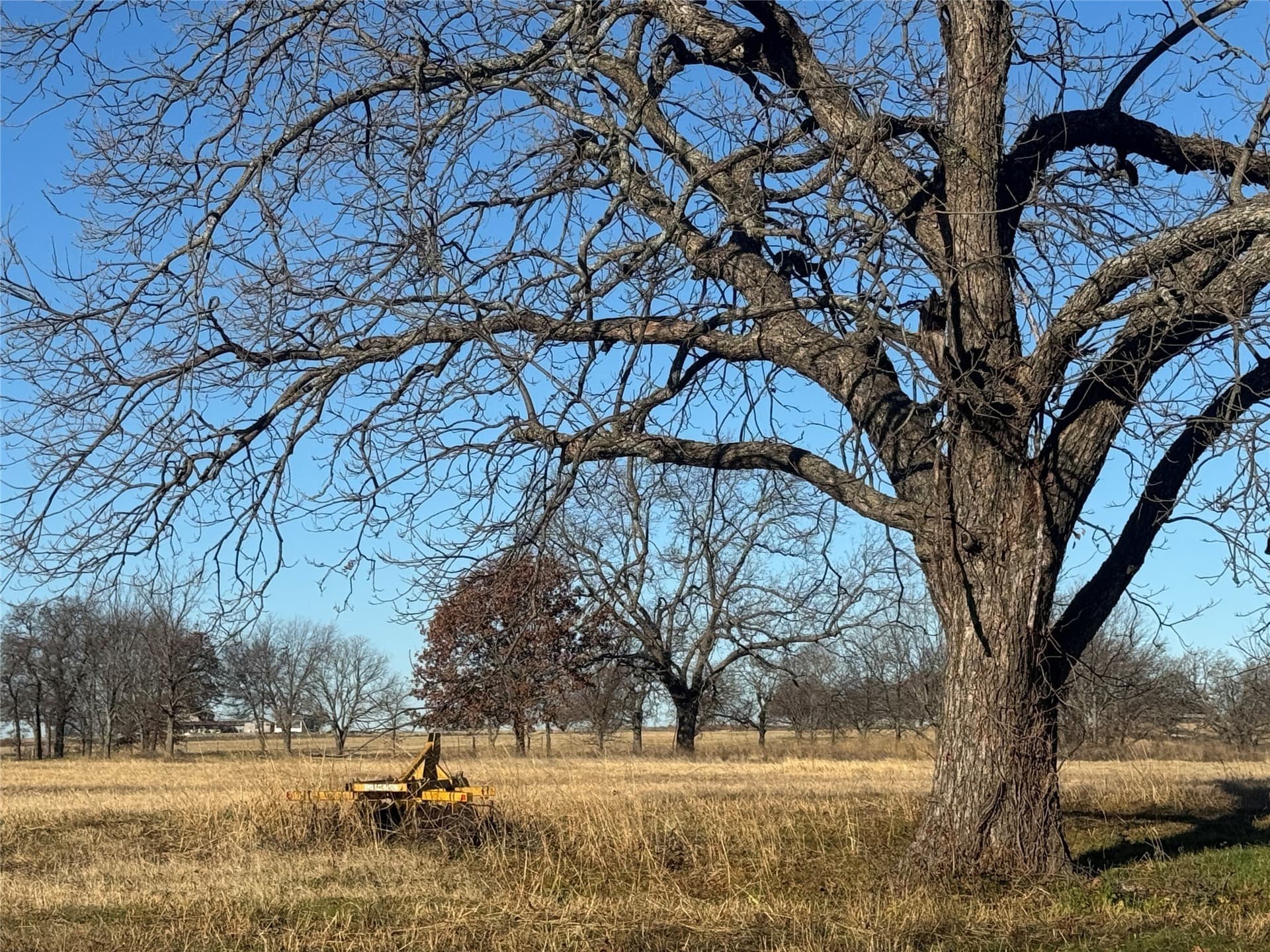 12.85 acres in Grayson County - photo 10