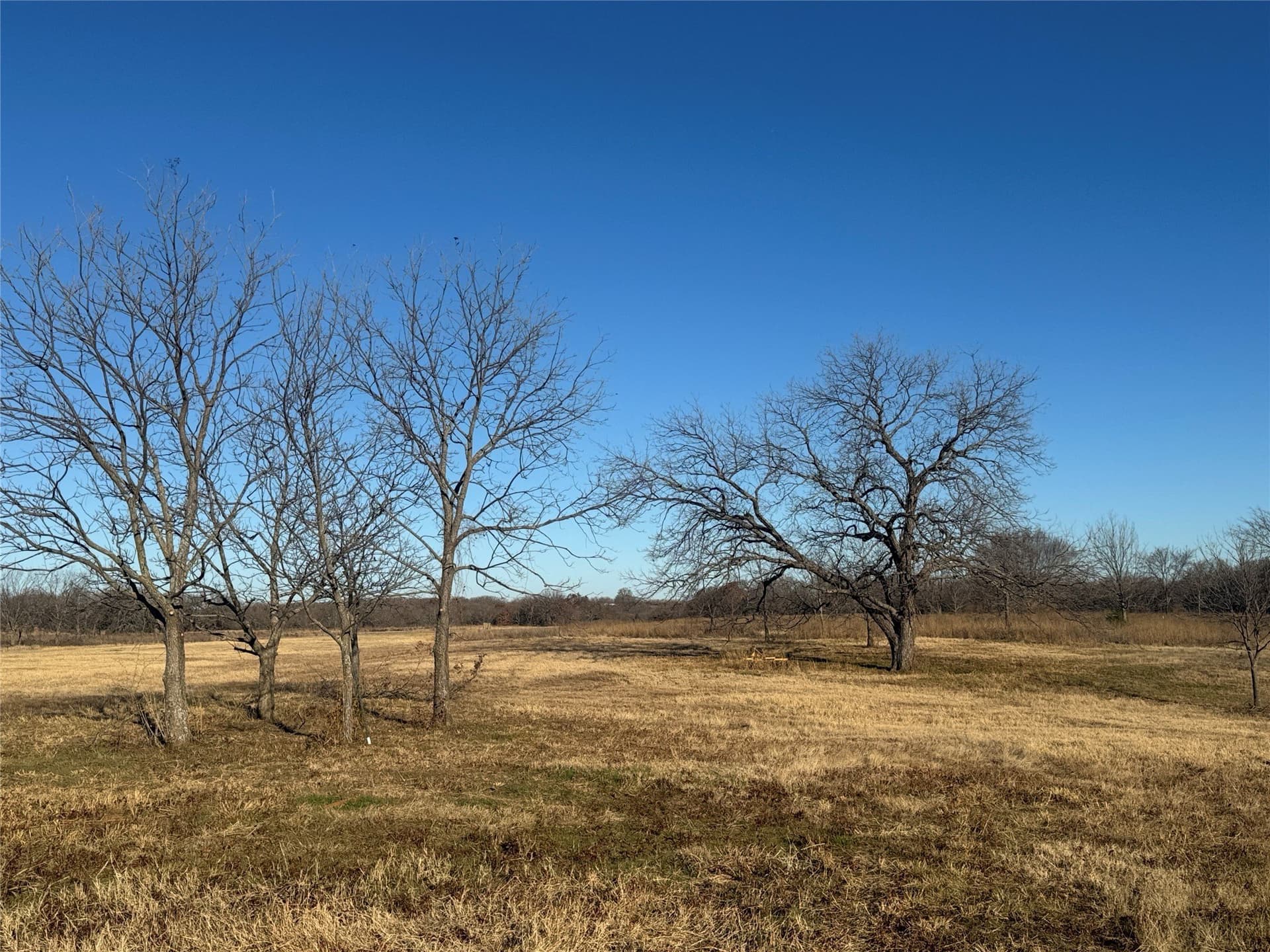 12.85 acres in Grayson County - photo 8