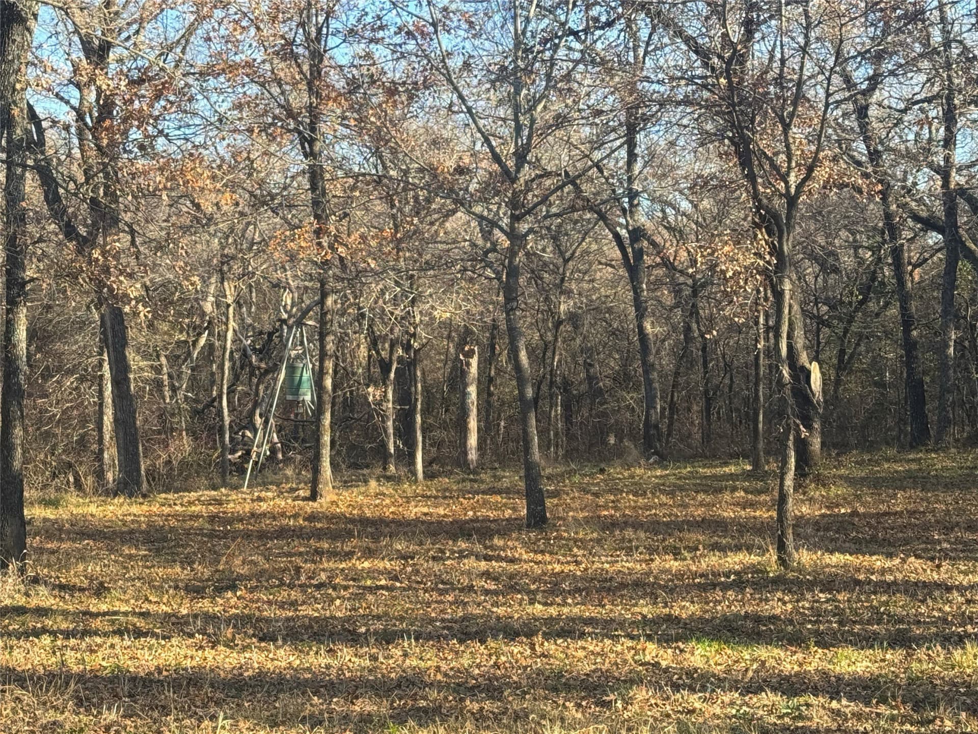 12.85 acres in Grayson County - photo 6