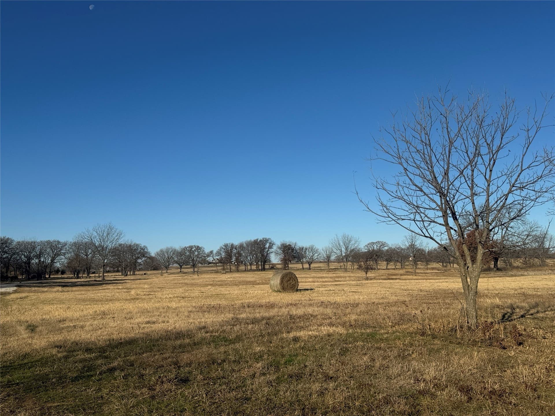 12.85 acres in Grayson County - photo 9