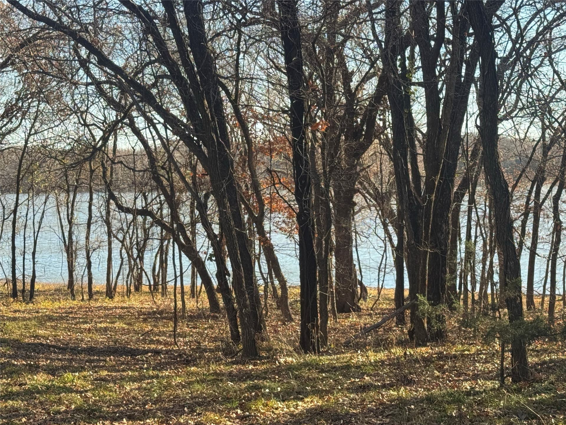 12.85 acres in Grayson County featured view