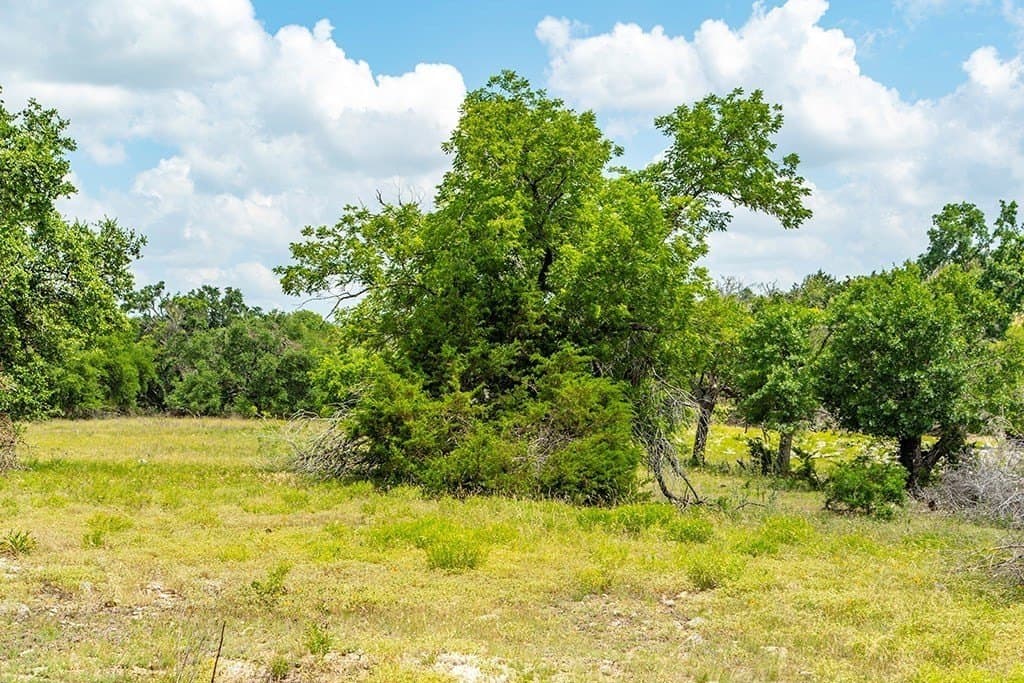 14.85 acres in Gillespie County - photo 7