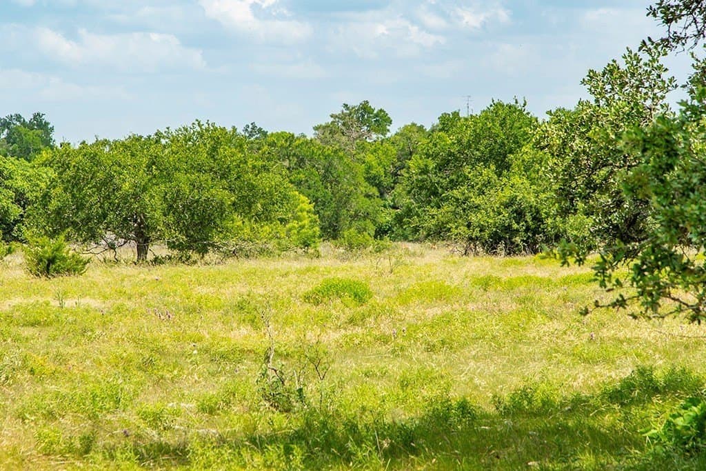 14.85 acres in Gillespie County gallery image 3