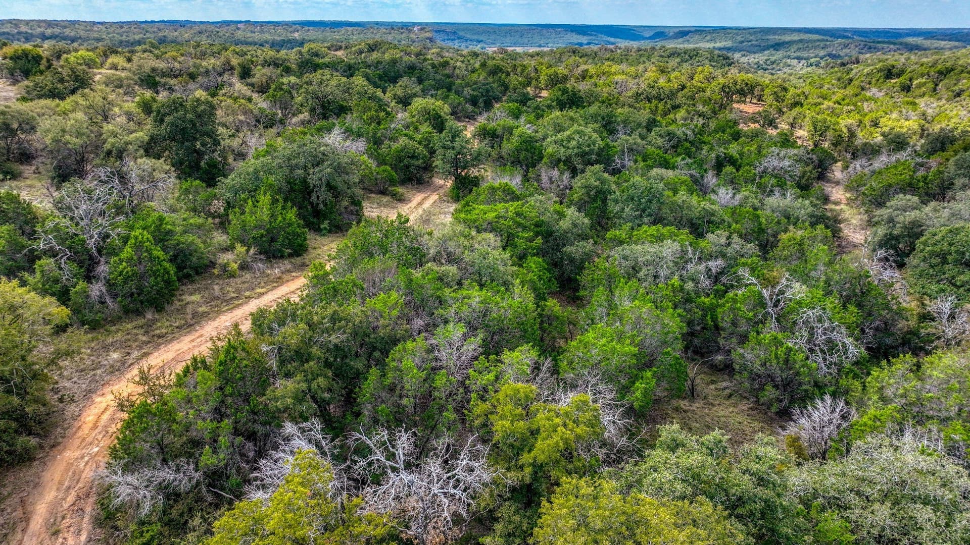 34.15 acres in Palo Pinto County - photo 24