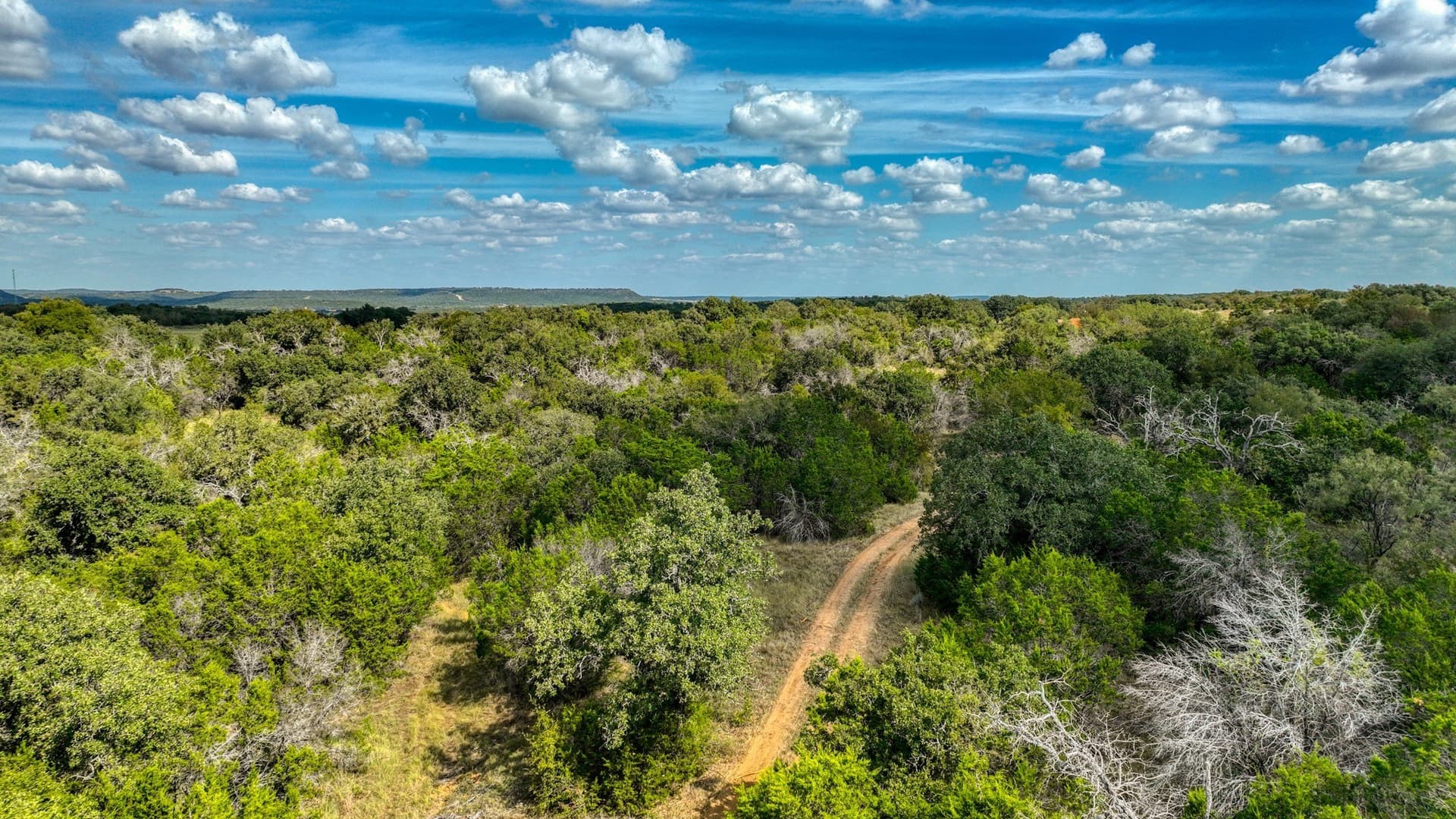 34.15 acres in Palo Pinto County - photo 22