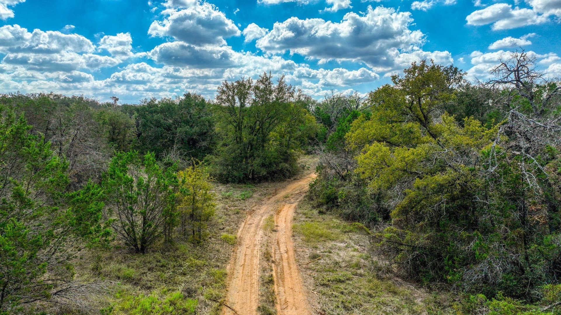 34.15 acres in Palo Pinto County - photo 23