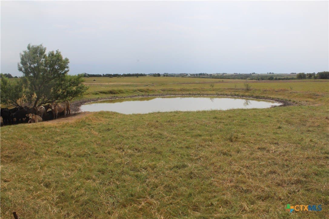 220 acres in Williamson County - photo 9