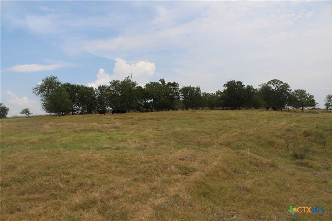 220 acres in Williamson County gallery image 3