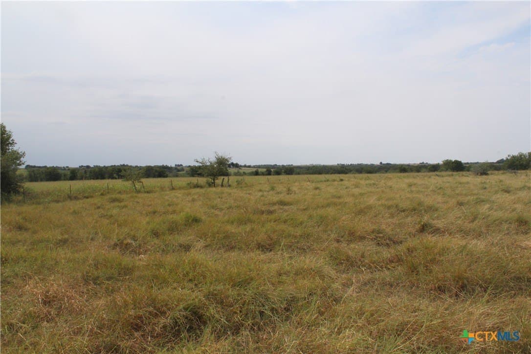 220 acres in Williamson County - photo 6