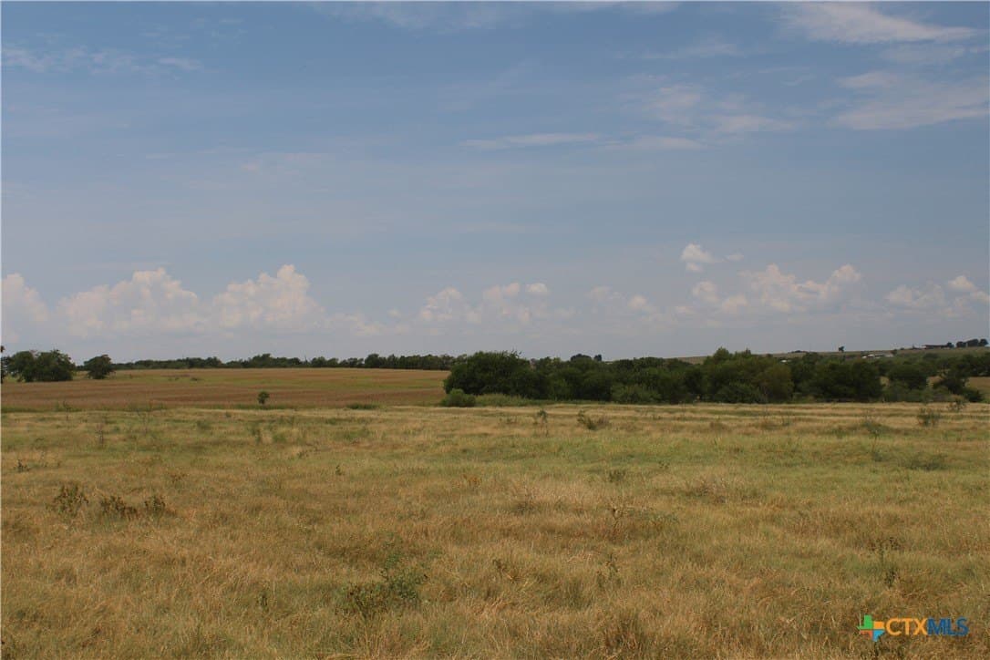 220 acres in Williamson County - photo 7