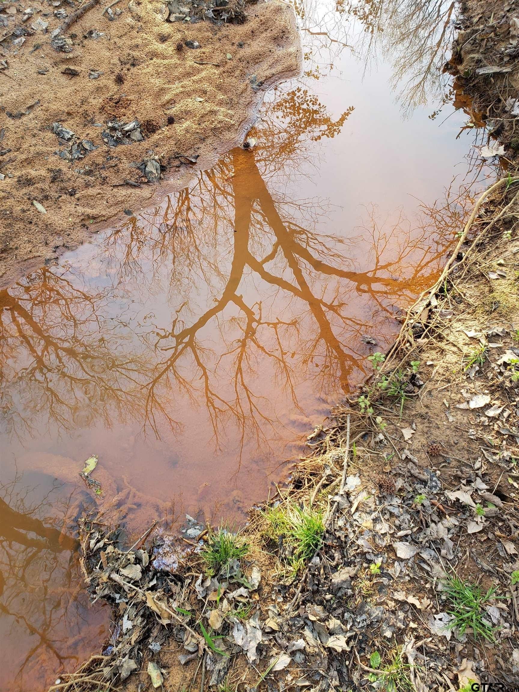 10 acres in Smith County gallery image 2