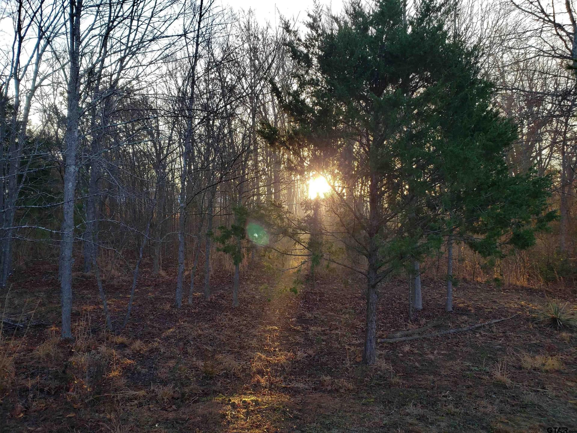 10 acres in Smith County gallery image 3