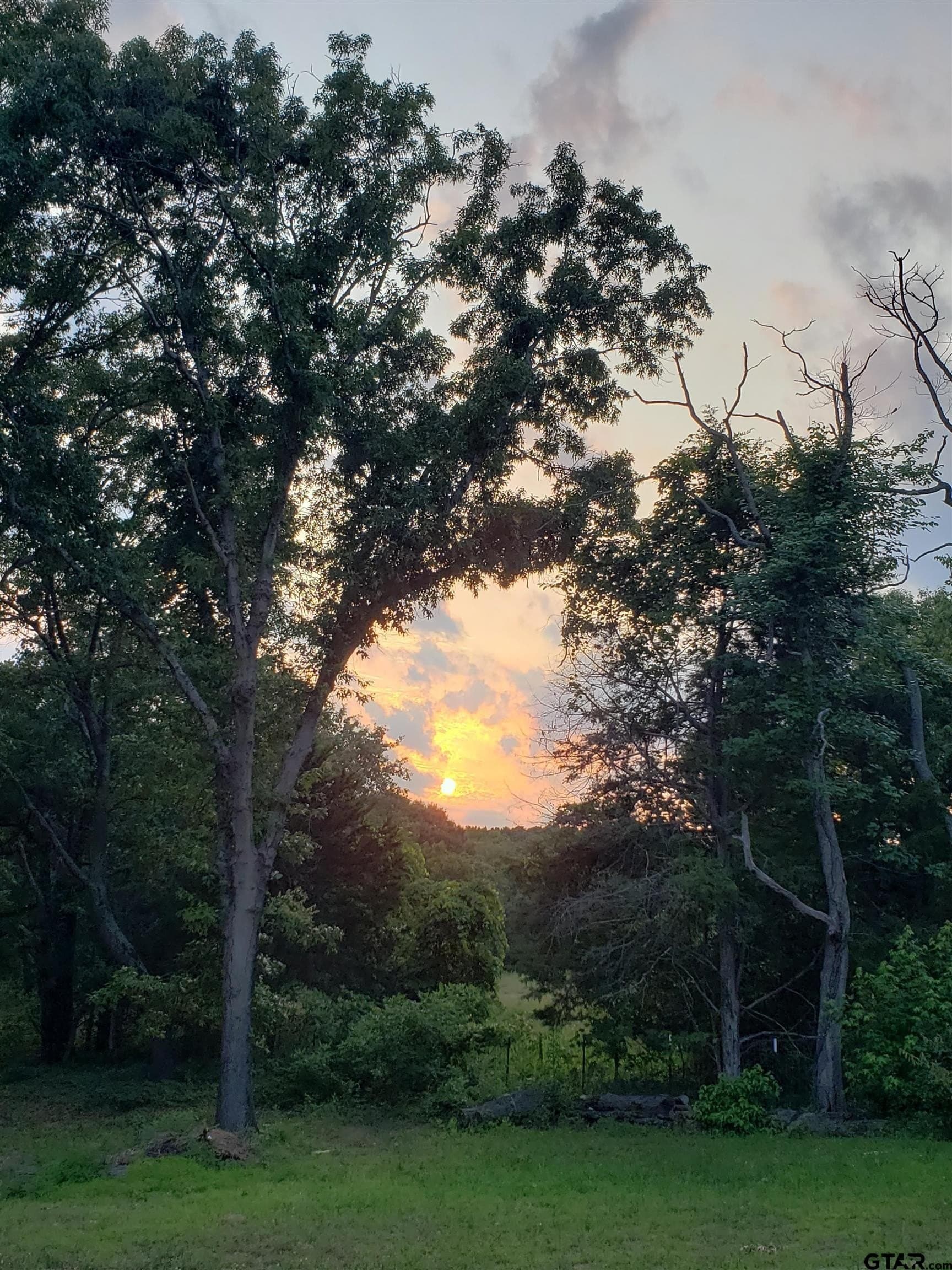 10 acres in Smith County gallery image 4