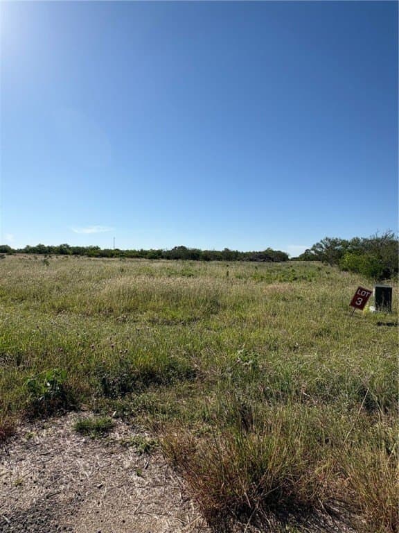 0 acres in Bee County - photo 6