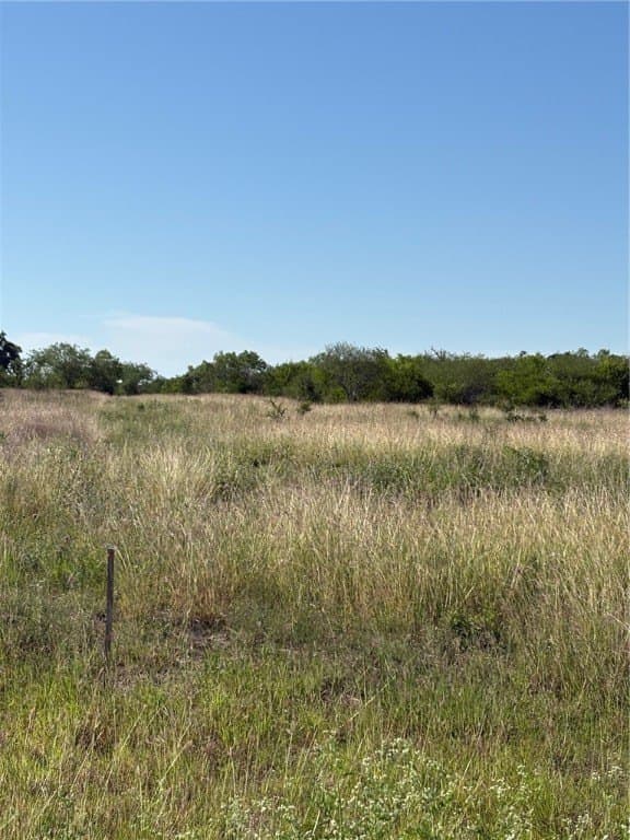 0 acres in Bee County gallery image 3