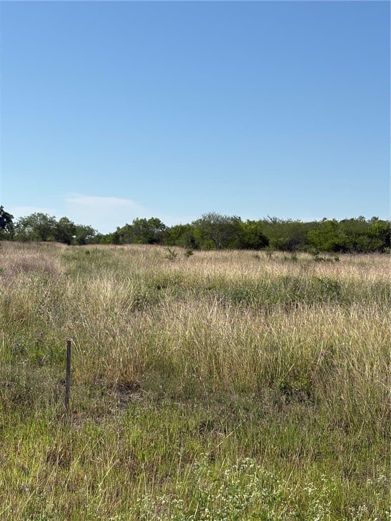 0 acres in Bee County - photo 3